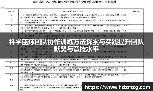 星空综合官网